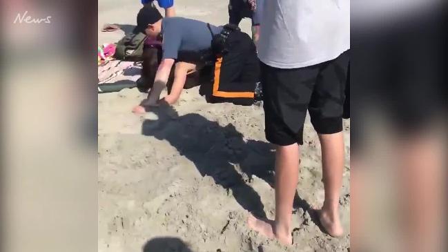 Police Punching Beachgoer New Jersey Beach