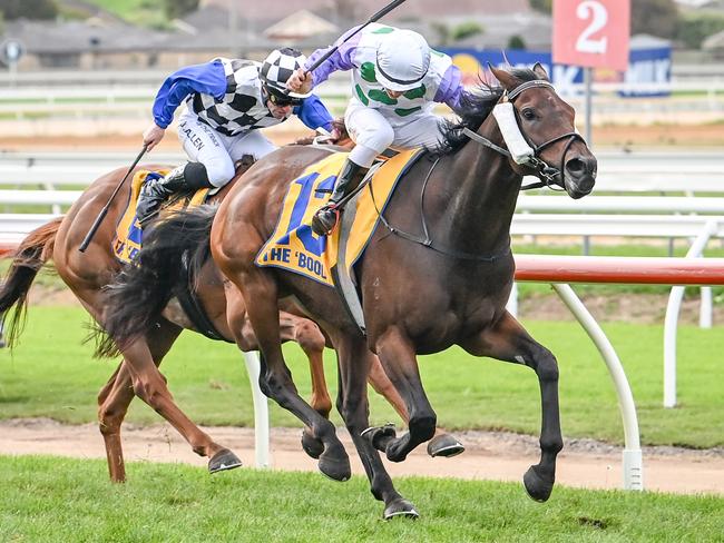 Rolls ridden by Harry Grace wins the Sungold Milk Warrnambool Cup at Warrnambool Racecourse on May 04, 2023 in Warrnambool, Australia. (Photo by Alice Miles/Racing Photos via Getty Images)