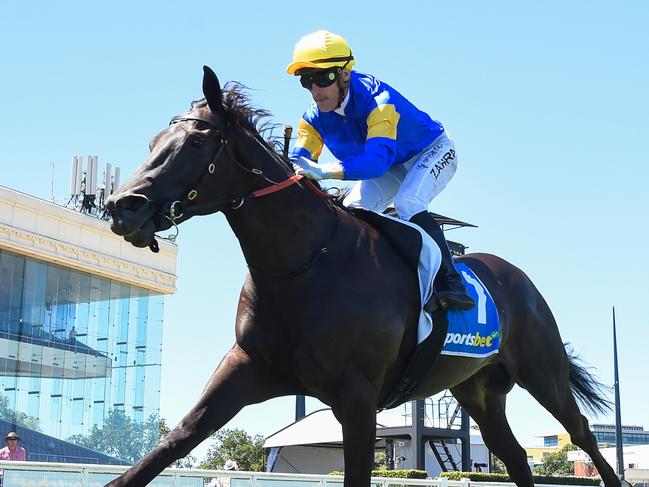 Punch Lane ridden by Mark Zahra wins the John Moule Handicap  at Caulfield Racecourse on February 03, 2024 in Caulfield, Australia. (Photo by Pat Scala/Racing Photos via Getty Images)