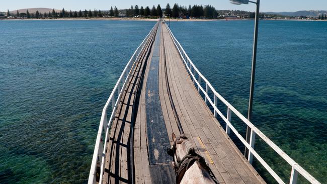 The view from the horsedrawn tram on the causeway from Granite Island to Victor Harbor. Picture: Kate Bettes