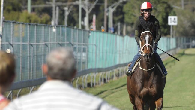 Glyn Schofield gives Hay List a workout under the watchful eye of trainer John McNair.