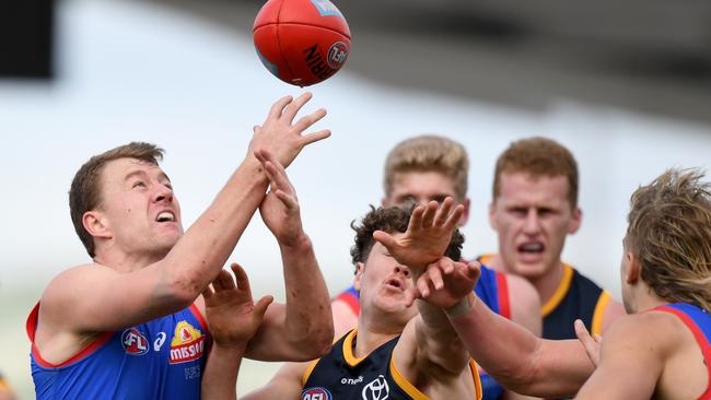 Jack Macrae will be looking to lead the Bulldogs to a win over Adelaide at Mars Stadium in Ballarat on Saturday. The Dogs and Crows are both 2-3 for the season.