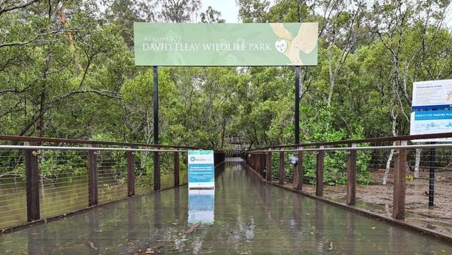 Flooding at Tallebudgera Creek on Monday. Picture: Allan Beare.