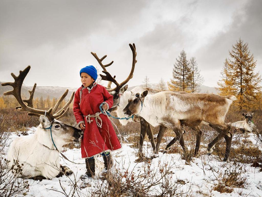 ‘The child and the reindeers’ ... Every morning, all the reindeer are released so they can graze the all day and at night they all come back themselves. Here we can see one of the Tsataan children taking care of his reindeer before the cold night comes. Picture: Pehuen Grotti, France, Entry, Open, Travel (Open competition), 2018 Sony World Photography Awards