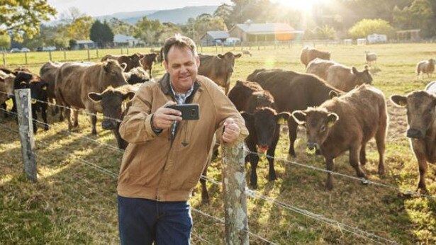 Helping hand: Telstra is giving consumer and small business customers additional data, and offering unlimited home phone calls to pensioners during the coronavirus pandemic.