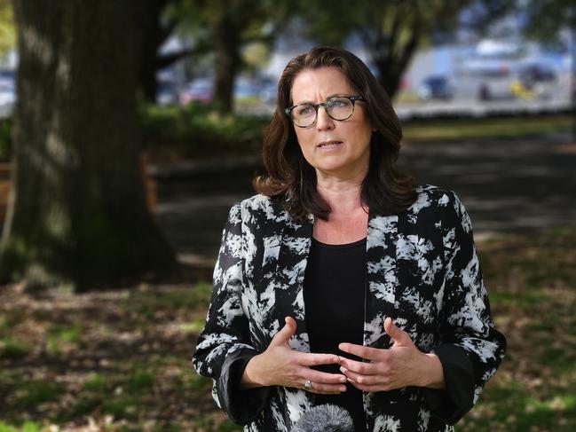 Independent MLC for Nelson Meg Webb speaks to the media on Parliament Lawns in Hobart on Thursday, April 11, 2024.