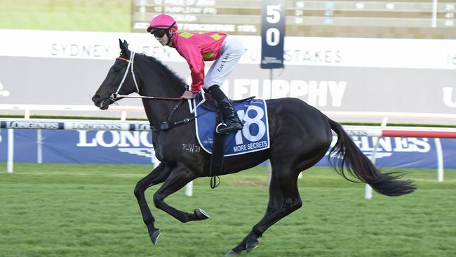 The Team Hawkes-trained More Secrets is a $23 chance in Saturday's Group 1 Coolmore Classic at Rosehill Gardens. Picture: Bradley Photos