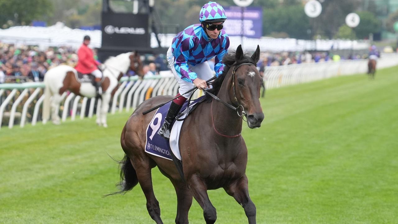 Pride Of Jenni has returned to Ciaron Maher’s stable. Picture: Jay Town/Racing Photos via Getty Images