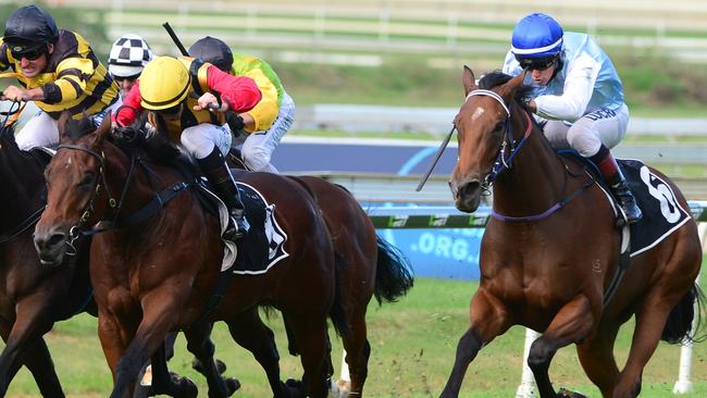 Single Gaze wins: Nick Olive, Kathy O’Hara; Doomben | news.com.au ...