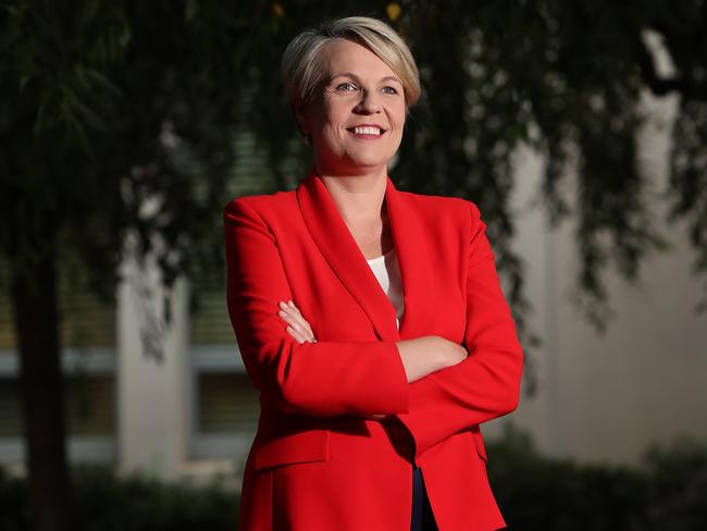 Deputy Opposition Leader Tanya Plibersek has accused Adani of promoting fake jobs. Picture: Kym Smith