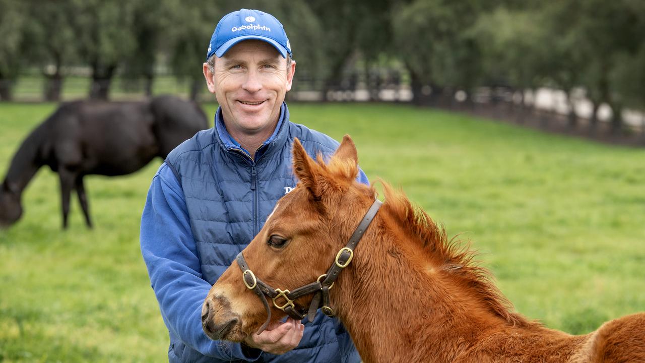 Good soil health just as important for Godolphin, Darley horses