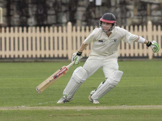 Perry played grade cricket for North Sydney and Balmain. Picture: John Appleyard.