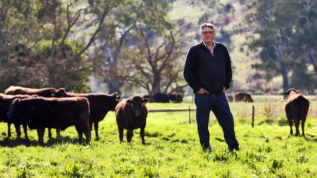 David Blackmore on his Alexandra property in Victoria. Picture: Aaron Francis