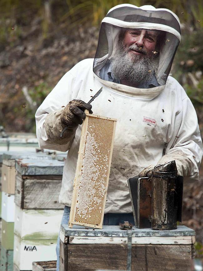 Beekeeper Bruce Direen with a frame and smoker at hives lined along a road near the Picton River near Geeveston. Picture; PAUL COUNTRY