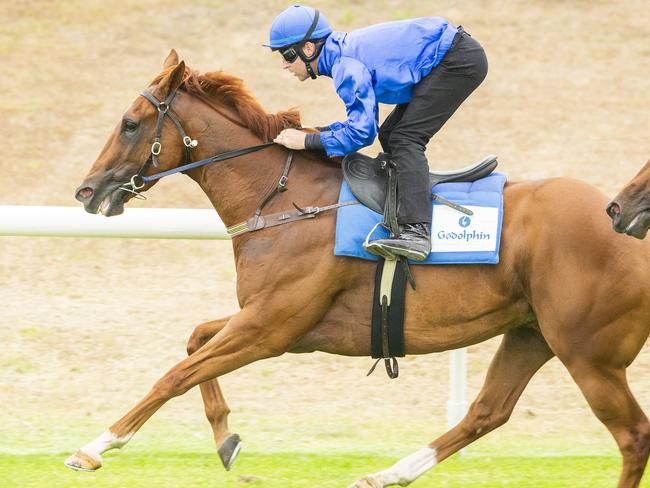 Pandemic puts in a strong trial performance at Royal Randwick on January 9.,