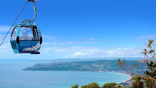Arthurs Seat Eagle flies high above Dromana.
