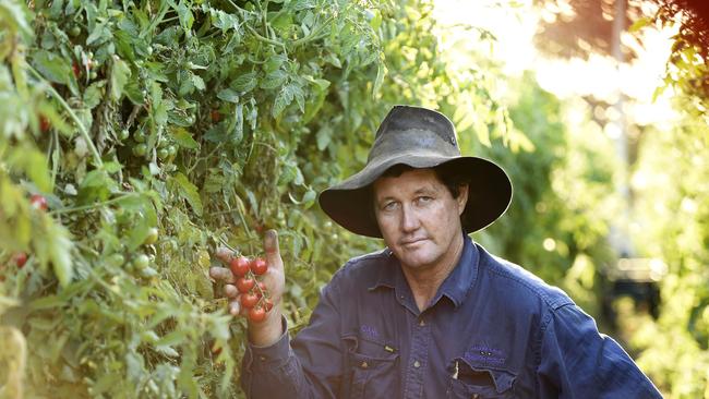 The campaign was launched in partnership with Bowen Gumlu Growers Association. The president of the organisation Carl Walker has been pushing for new schemes throughout the year. Picture: Supplied