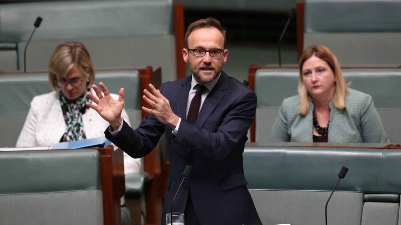 ‘We are past breaking point’: Adam Bandt joins Penny Wong for ceasefire