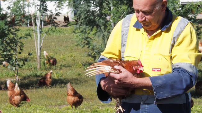 Poultry farmer John Sattler will begin welcoming visitors to his Pure Foods farm outside Longford. Picture: CHRISTOPHER TESTA