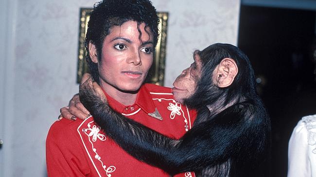 Michael Jackson’s chimp Bubbles: Rashida Jones was bitten | news.com.au ...