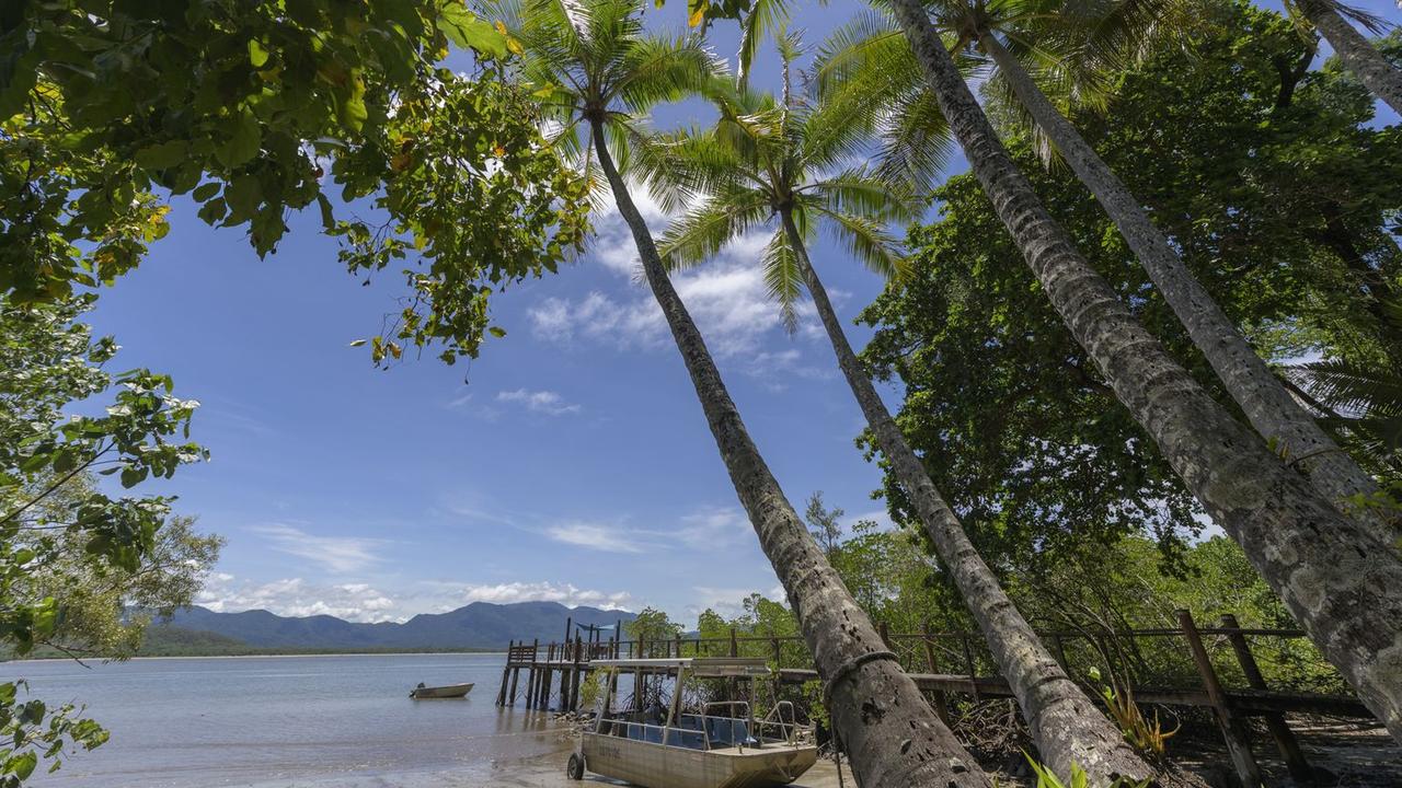 Oceanfront Daintree Rainforest freehold resort is calling for its next visionary