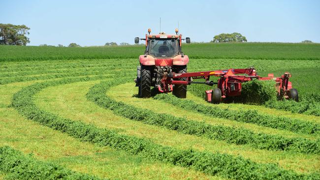 Swing back: Good seasonal rainfall has cut costs for lucerne hay and it will soon be more affordable. Picture: Zoe Phillips