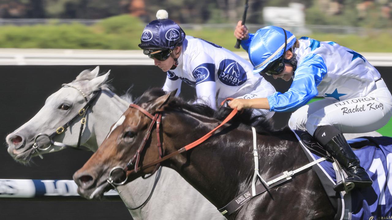 Sydney Racing: Stakes Day