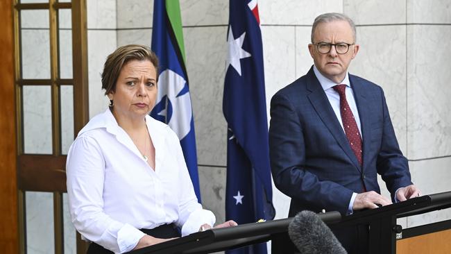 Prime Minister Anthony Albanese and Communications Minister Michelle Rowland legislated the social media ban to protect children from harm in the online space. Picture: NewsWire / Martin Ollman