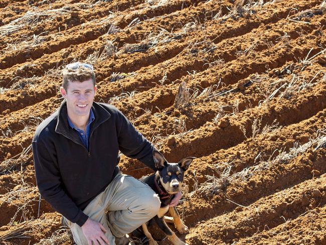 CROPS: Eddie Rickard at CuryoEddie Rickard at Curyo with his Kelpie pup named Louie.PICTURED: Eddie Rickard sowing Vixen wheatPHOTOGRAPHER: ZOE PHILLIPS