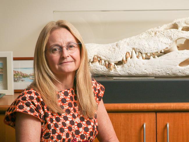 Territory Coroner Elisabeth Armitage ahead of the Kumanjayi Walker inquest in September.Picture: Glenn Campbell