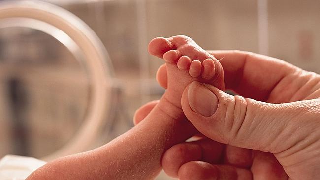  THINKSTOCK ONE TIME ONLY small premature baby lies in an incubator a grown hand reaches in grasping the foot in caring manne...