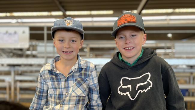 Nate, 7, and Gus, 10, Hayes from Albury were watching the action at the Wodonga store cattle sale.