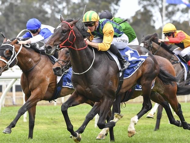 Ceolwulf wins at Warwick Farm in August last year. Picture: Bradley Photos