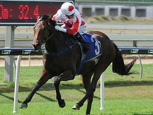 Maurus looms as Doomben Cup smokie