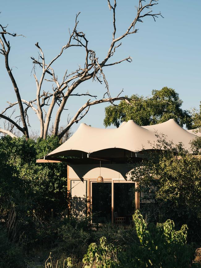 A tented suite blends into the native foliage.