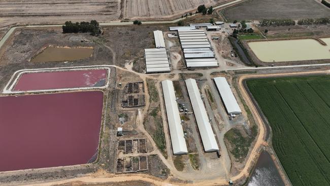 Aerial view of Girgarre Piggery. Picture: Farm Transparency Project