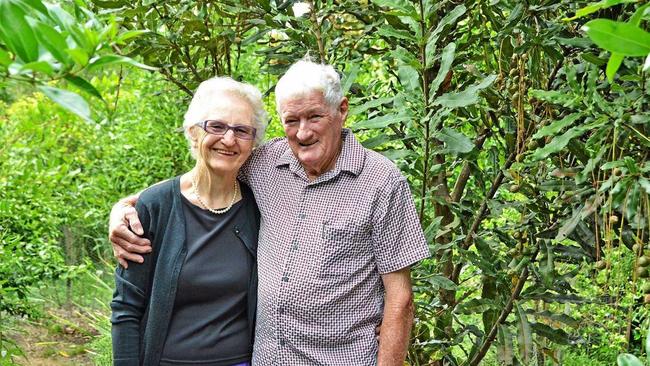 The next Lismore City Council landholder field day will be held on Ernie and Janice Taylor's Tregeagle macadamia farm. Photo: contributed. Picture: contributed