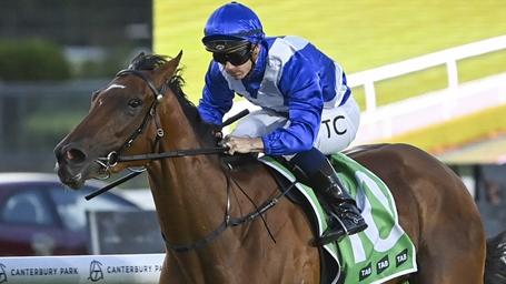 Gerringong is unbeaten after two starts in Sydney. Picture: Bradley Photos.