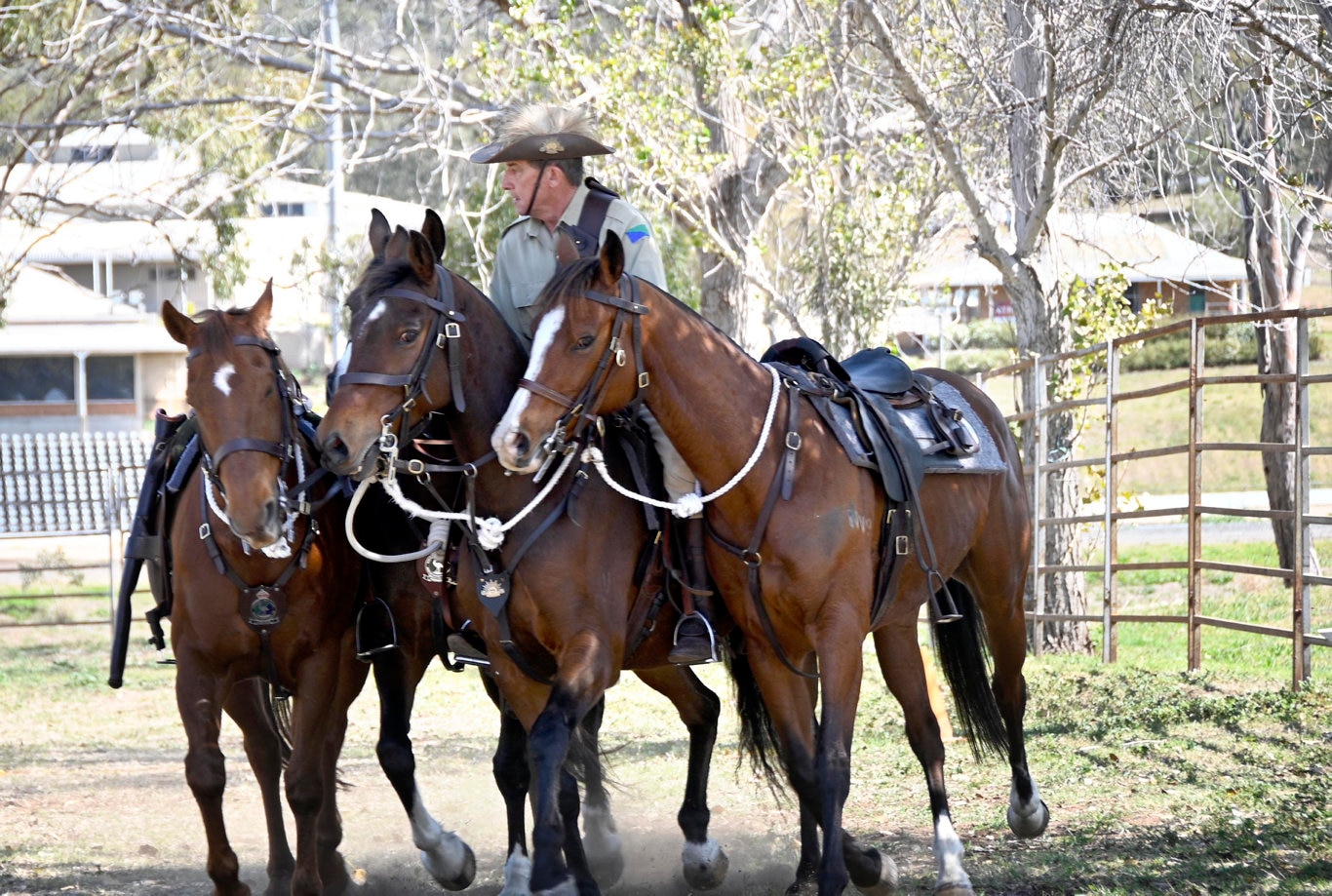 Queensland Mounted Infantry Challenge at the Toowoomba Showgrounds.