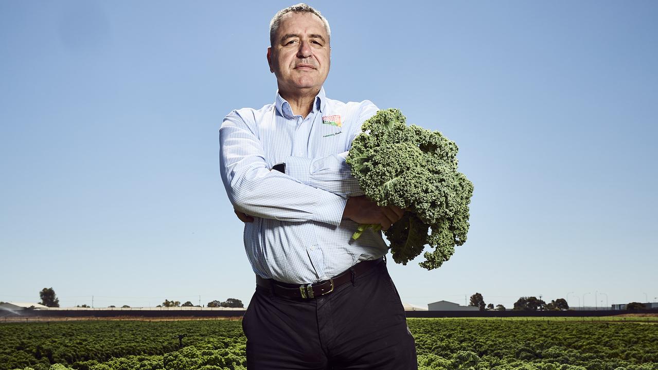 Angelo Demasi from the Horticultural Association SA holding produce at a farm, Wednesday, Jan. 31, 2024. Picture: Matt Loxton