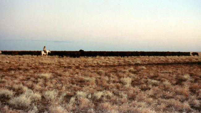 Vast property: The Hughes family’s 1.2 million hectare Lake Nash Station.