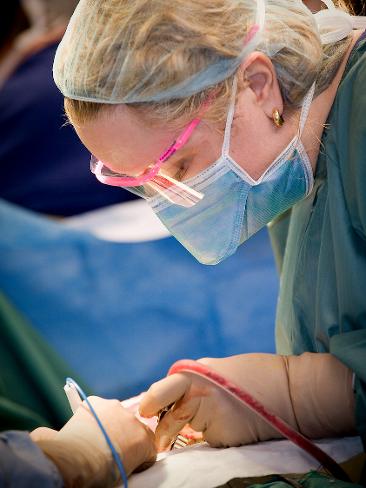 <p>Neurosurgeon Alison Wray. Picture: RCH</p>