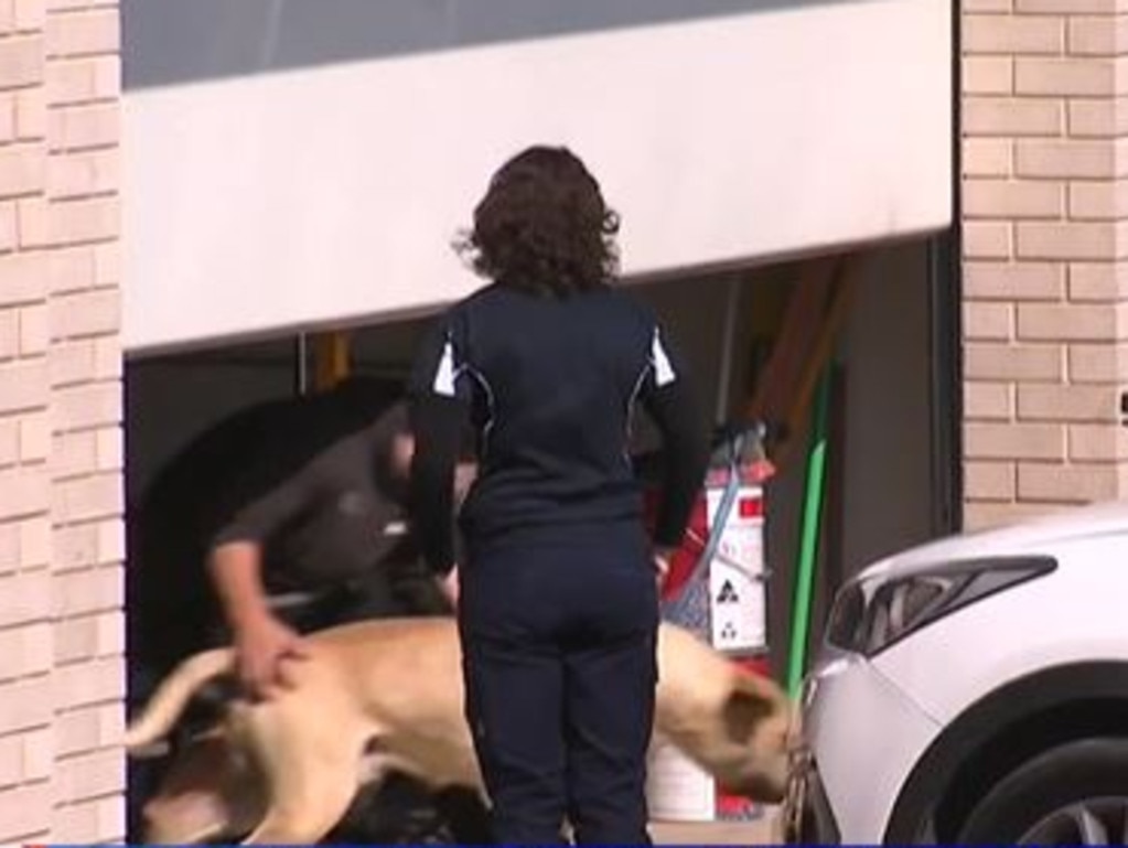 Council officers attended a residence in Gawler South where a dog was seized after attacking a 30-year-old woman. Picture: Nine News