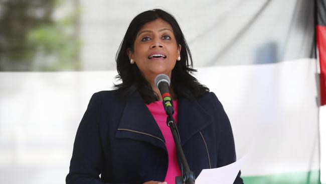 Victorian Greens leader Samantha Ratnam said she would support students who wished to ditch school to protest. Picture: David Crosling