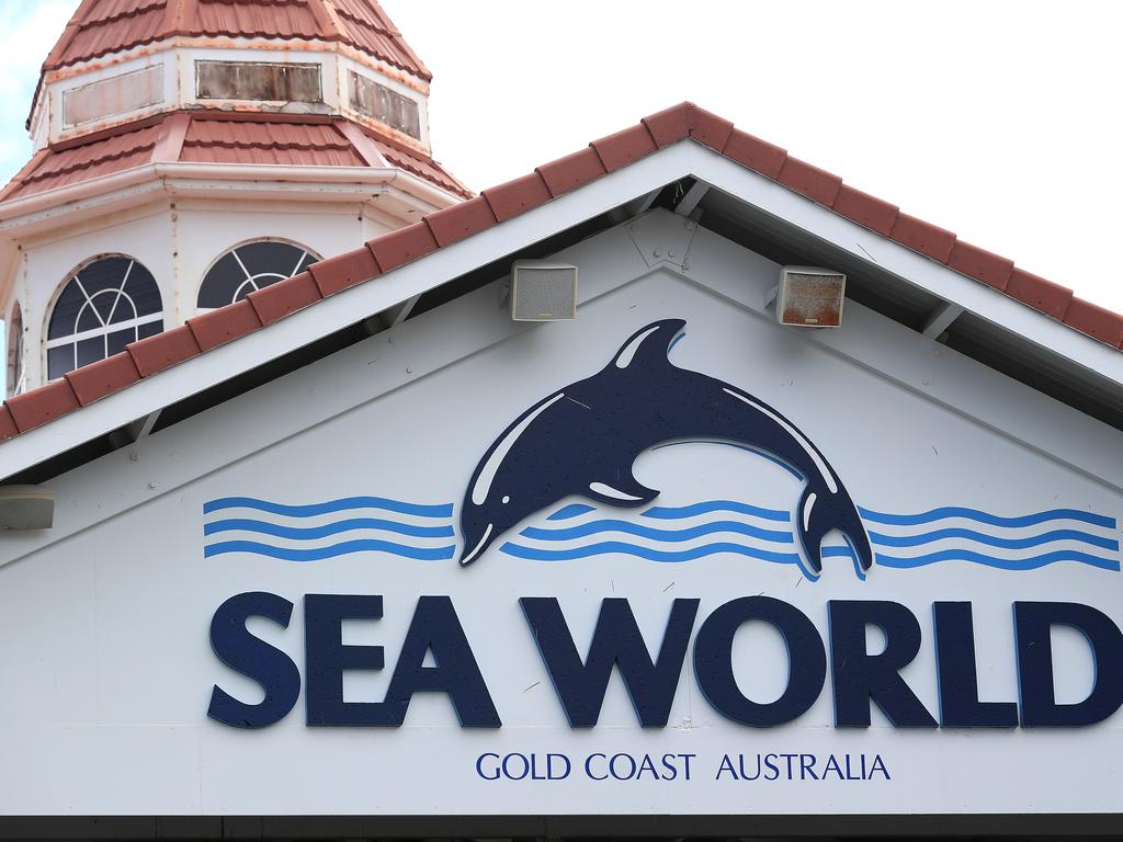 The toy had been purchased from Sea World four days before the incident. Picture: Adam Head