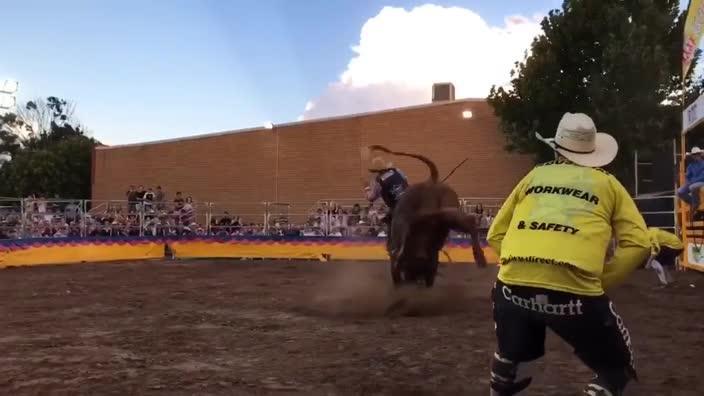 Giddy up! The wild world of bull riding at the Dubbo Rodeo