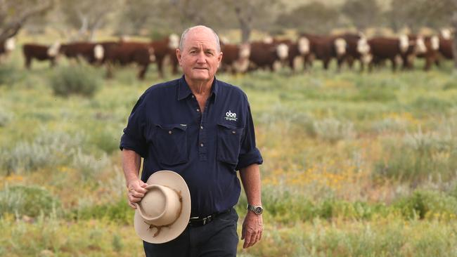 Natural approach: Organic Beef grazier David Brook on Adria Downs.