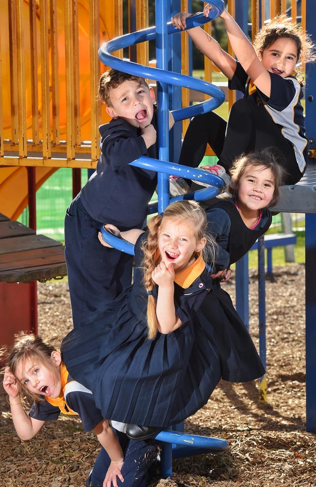 Berwick Lodge Primary School grade 1 students: Jai-Lee, Noah, Emily, Abbie and Brooke. Picture: Tony Gough