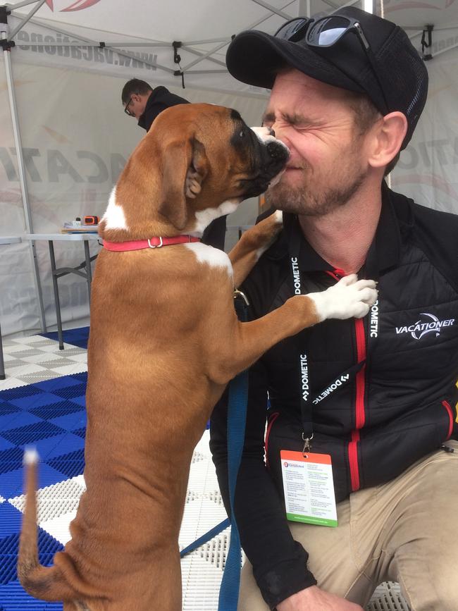 Dogs are welcome at Sandown for Melbourne Leisurefest 2019.