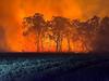 Massive fire that forced evacuation, highway closure ‘suspicious’